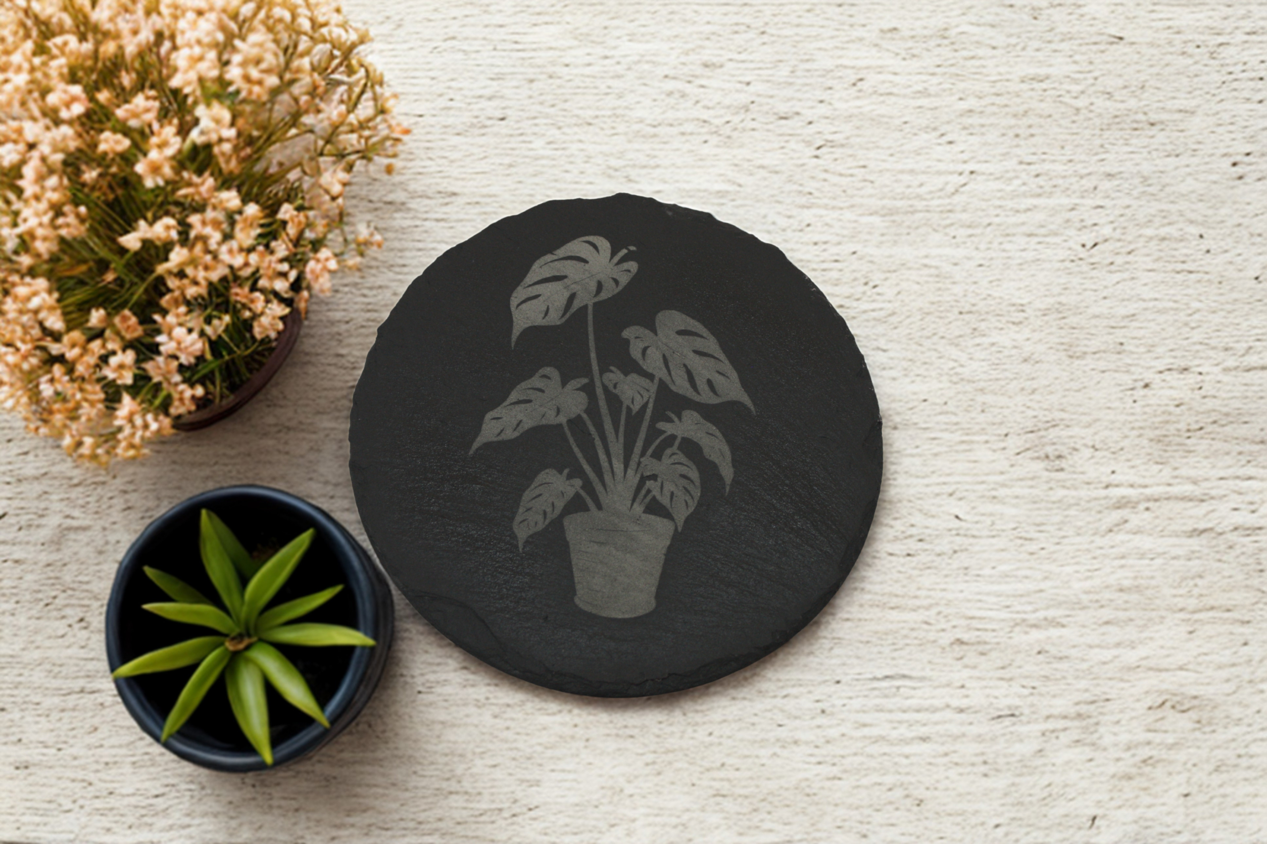 Engraved Slate Coasters Set of 4 - Monstera - Image 3