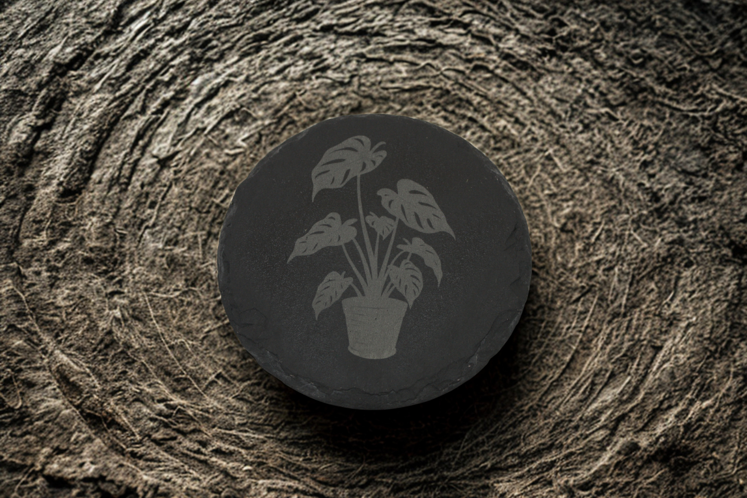 Engraved Slate Coasters Set of 4 - Monstera - Image 4